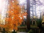 фото отеля Sleepy Forest Cottages