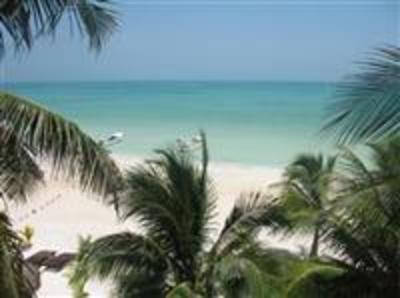 фото отеля La Palapa Hotel Holbox Island