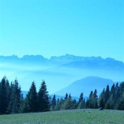 фото отеля Pineta Hotels Nature Wellness Resort