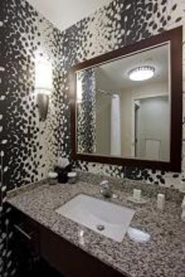 фото отеля Embassy Suites Buffalo