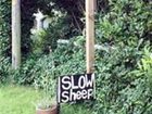 фото отеля Slow Sheep B&B