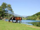 фото отеля Le Lac des Graves