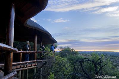 фото отеля Elephant Rock Private Safari Lodge