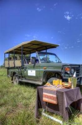 фото отеля Elephant Rock Private Safari Lodge