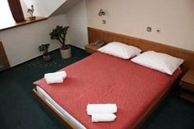 фото отеля Hotel Zonta Sentjur