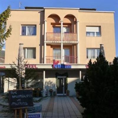 фото отеля Vinum Hotel Salgesch