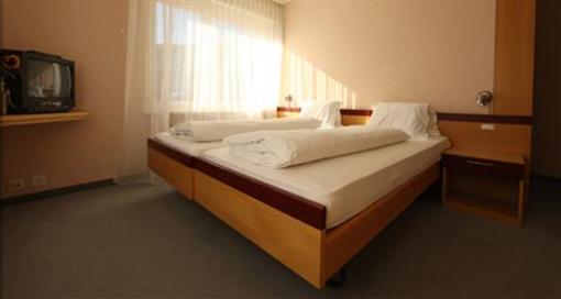фото отеля Vinum Hotel Salgesch