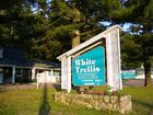 фото отеля White Trellis Motel