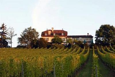 фото отеля Domaine De Chateauvieux