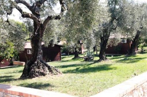 фото отеля I Giardini di Margius