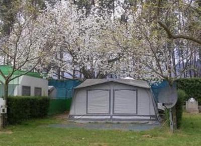 фото отеля Cabanas-Bungalows-Camping La Vera