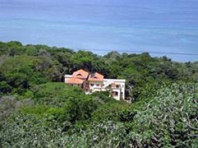 фото отеля Villa Delfin Roatan