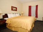 фото отеля Comfort Suites Morristown (Tennessee)