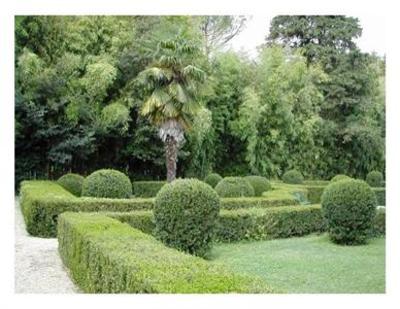 фото отеля Villa I Bossi