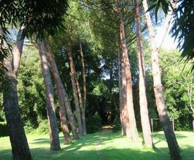 фото отеля Villa I Bossi