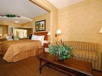 Comfort Suites Macon