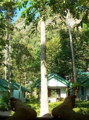фото отеля Krabi Mountain View Resort