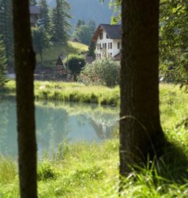 фото отеля Hotel Des Alpes Kandersteg