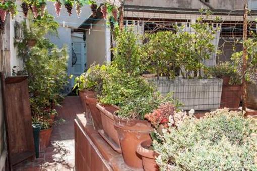 фото отеля Bed & Breakfast Vittoria Gallipoli