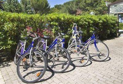 фото отеля Family Hotel Smeraldo Giulianova