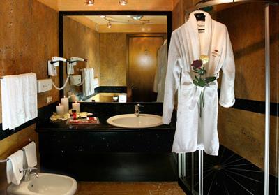 фото отеля Hotel Visconteo