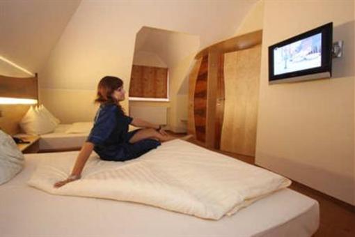 фото отеля Hotel Passauer Wolf