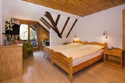 фото отеля Hotel Alpina Arosa
