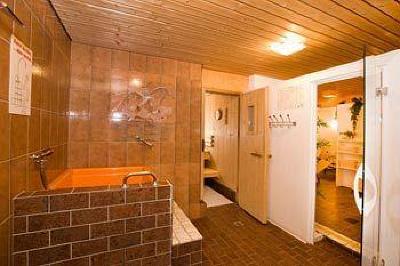 фото отеля Hotel Alpina Arosa