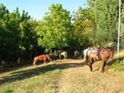 фото отеля Cascina De' Fagiolari Hotel Lastra a Signa