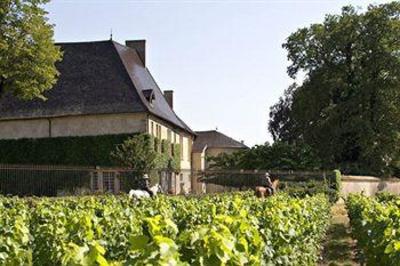 фото отеля Chateau De Pizay Saint-Jean-d'Ardieres
