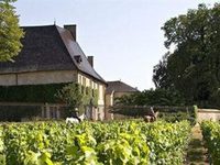 Chateau De Pizay Saint-Jean-d'Ardieres