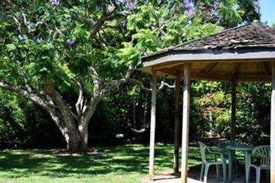 фото отеля Kauri Park Motel