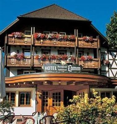 фото отеля Hotel Lamm Mitteltal Baiersbronn