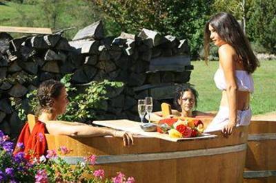 фото отеля Hotel Lamm Mitteltal Baiersbronn