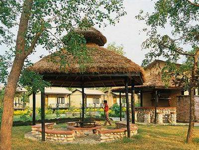 фото отеля Maruni Sanctuary Lodge Chitwan