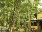 фото отеля Maruni Sanctuary Lodge Chitwan