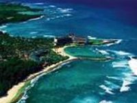 Turtle Bay Resort