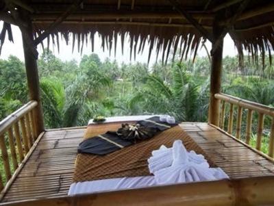 фото отеля Nirvana Detox Healing Center