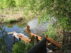 фото отеля Elm Tree Farm B&B