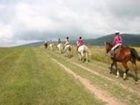 фото отеля Szépalma Horse Ranch