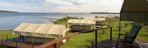 фото отеля Ngamba Island Tented Camp