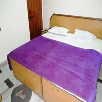 фото отеля Hotel Shri Krishna