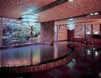 фото отеля Iwakuni Kokusai Kanko Hotel