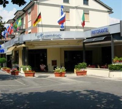 фото отеля Hotel Memmina