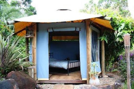 фото отеля Nimbin Rox Backpackers Resort