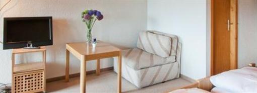 фото отеля Hotel-Gasthof Rothorn