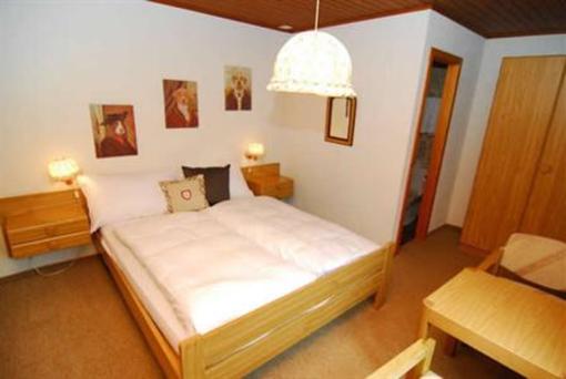фото отеля Hotel-Gasthof Rothorn