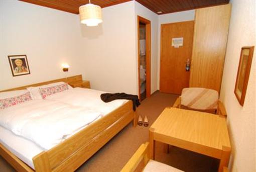 фото отеля Hotel-Gasthof Rothorn
