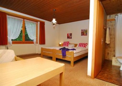фото отеля Hotel-Gasthof Rothorn