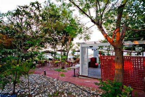 фото отеля Theodorou Beach Hotel